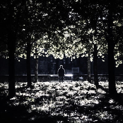 a world without a light so dark and bright on a faithfull night