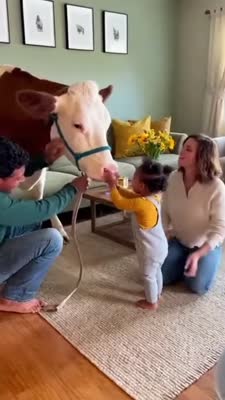 A family playing with a cow in the living room
