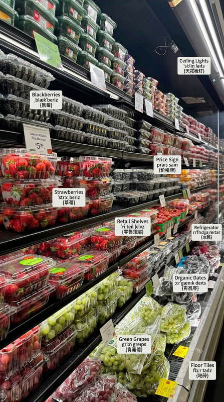 Labeled Shop Scene Educational Diagram