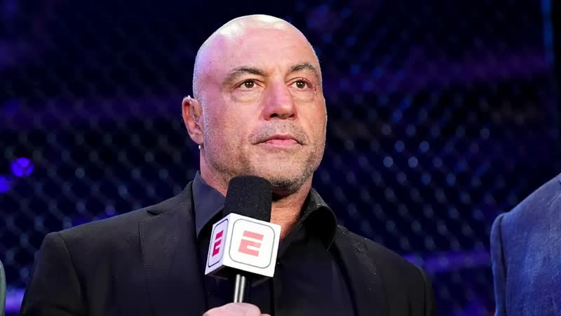 Magic Hour | Joe Rogan Interview - AI Talking Photo Template