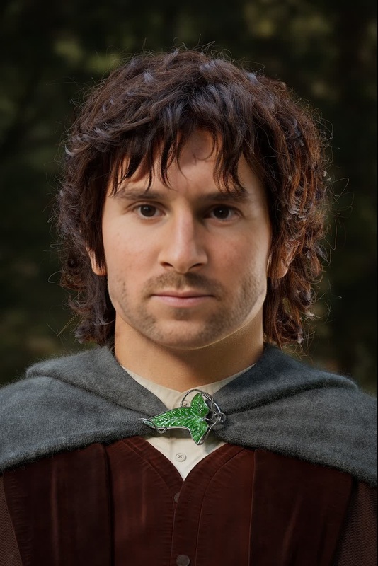 Frodo Baggins Lord Of The Rings