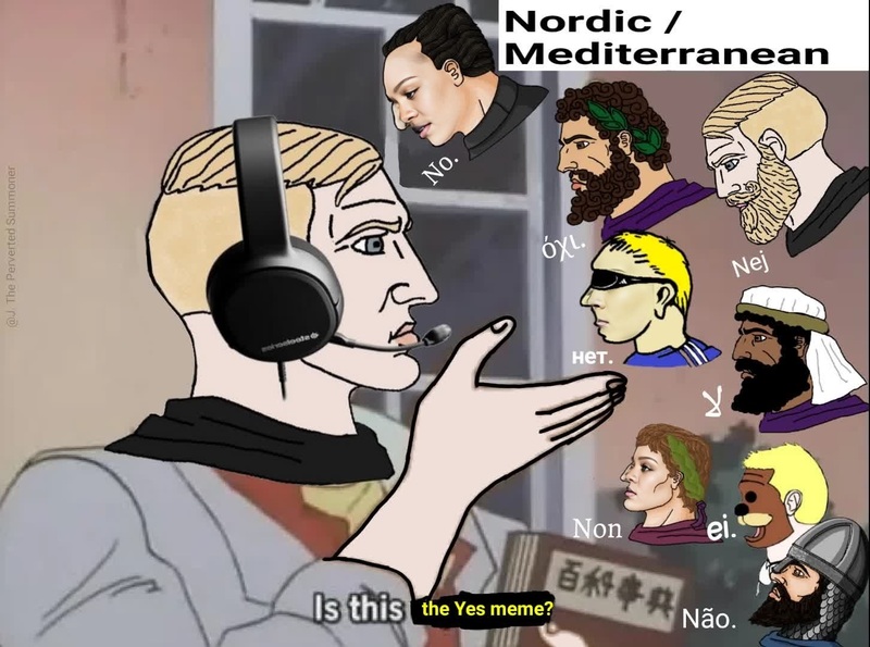No Meme Nordic Man Portrait