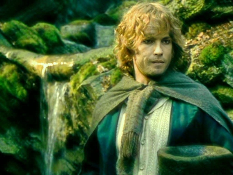 Pippin Took Lord Of The Rings