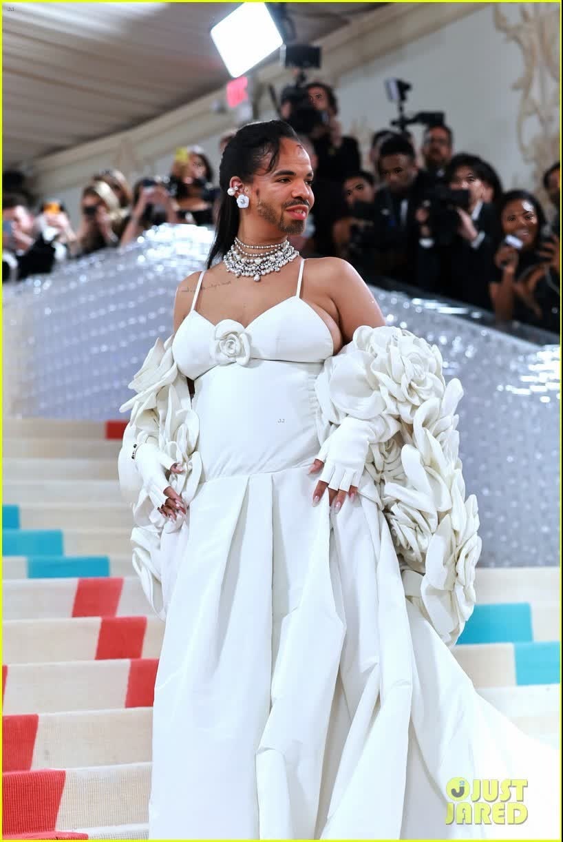 Rihanna Met Gala Arrival Portrait