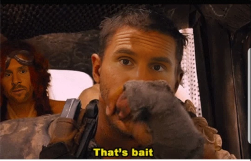ThatS Bait Meme Portrait