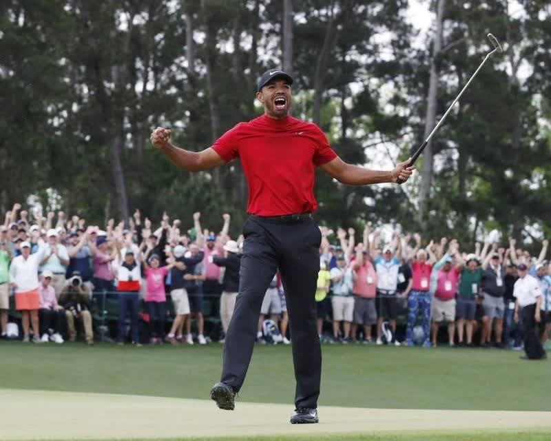 Tiger Woods Golf Press Portrait