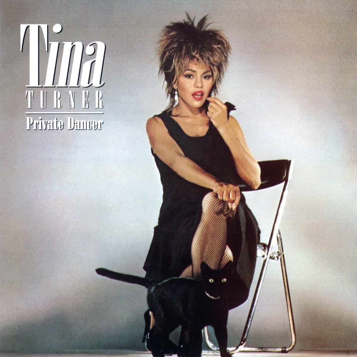 Tina Turner Private Dancer Album Cover Portrait