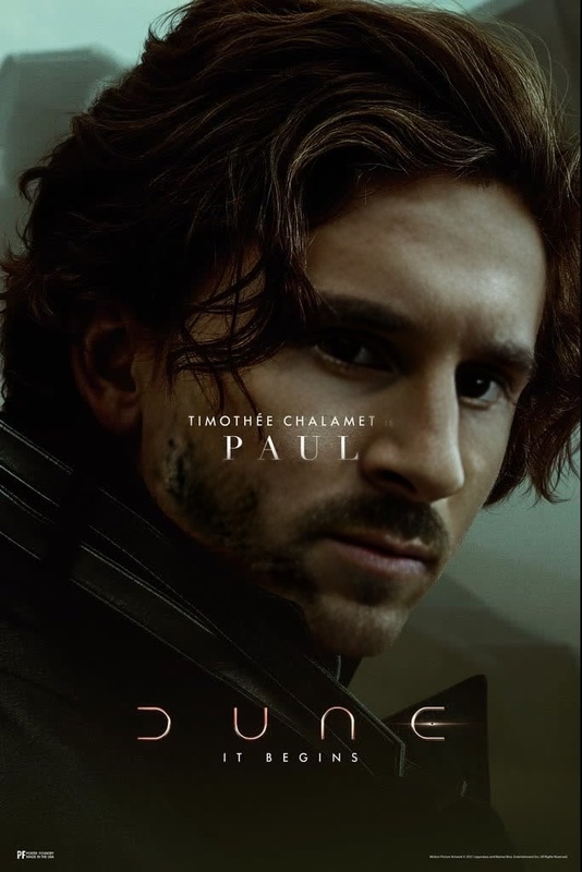 Timothée Chalamet Dune Promotional Portrait