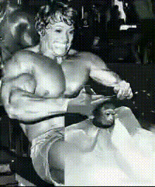 Arnold Schwarzenegger Face Swap
