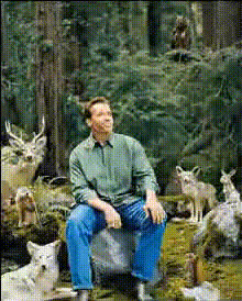 Arnold Schwarzenegger In Forest