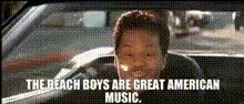 Beach Boys Fan In Car