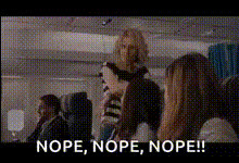 Bridesmaids Plane Scene