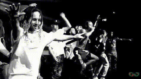 Concert Goer With Camera