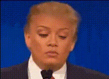 Donald Trump Funny Face