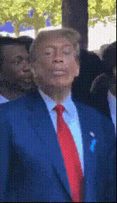 Donald Trump Pointing Finger