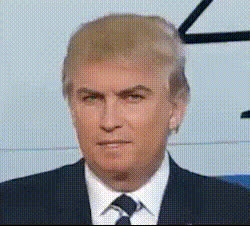 Donald Trump Smiling Skeptically
