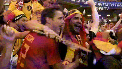 Excited Soccer Fans Celebrating