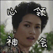Funny Face With Chinese Text