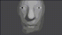 Gray Face Closeup