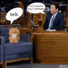 Jimmy Fallon Teddy Bear Chat
