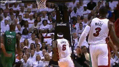 Lebron James Basketball Player 1