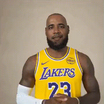 Lebron James Basketball Player
