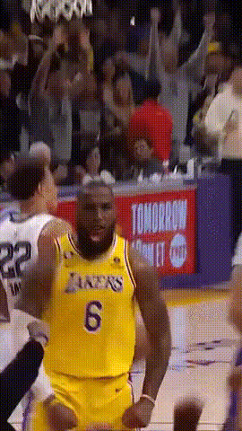Lebron James Expression
