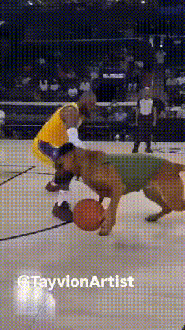 Lebron James In Basketball Action