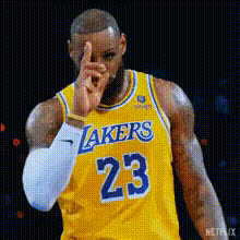 Lebron James Lakers Jersey