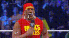 Macho Man Randy Savage Meme