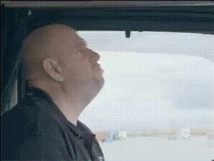 Man Facepalming At Steering Wheel