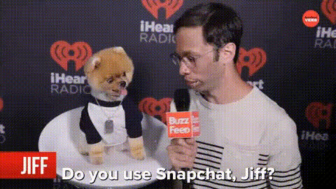 Man Holding Microphone Interviewing Dog