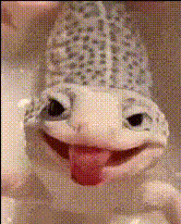 smiling-lizard-face-closeup