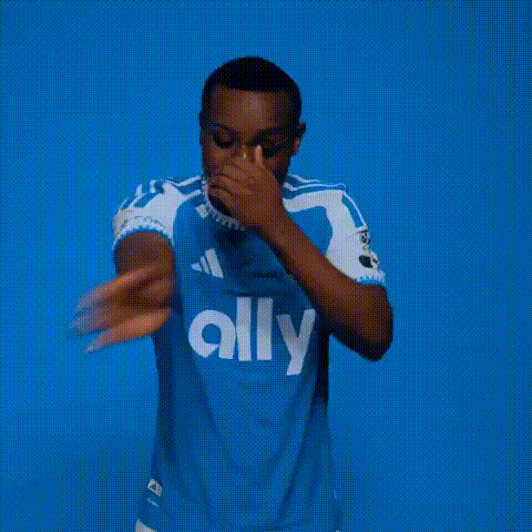Template preview