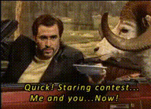 staring-contest-face-swap