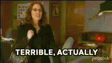 terrible-actually-liz-lemon