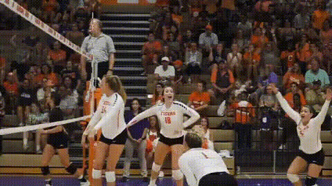 volleyball-team-celebration