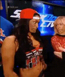 wwe-diva-and-companion