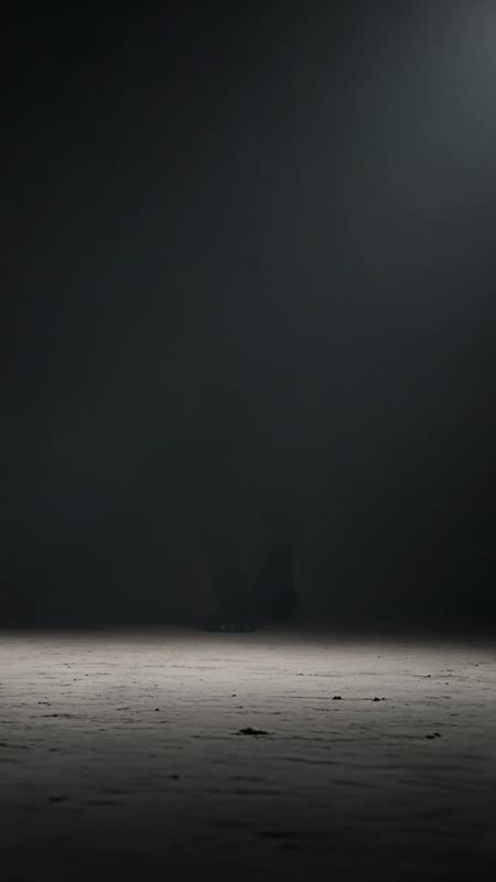 Magic Hour Shadows Magic Hour | Shadow Panther - Text-to-Video Template