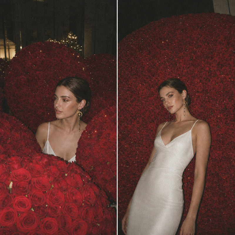 Red Roses