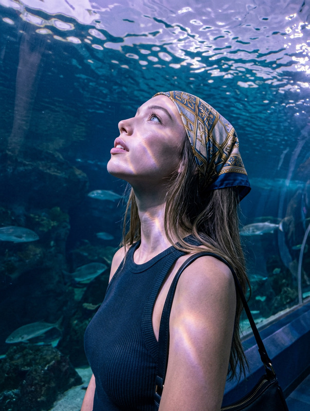 Aquarium Gaze