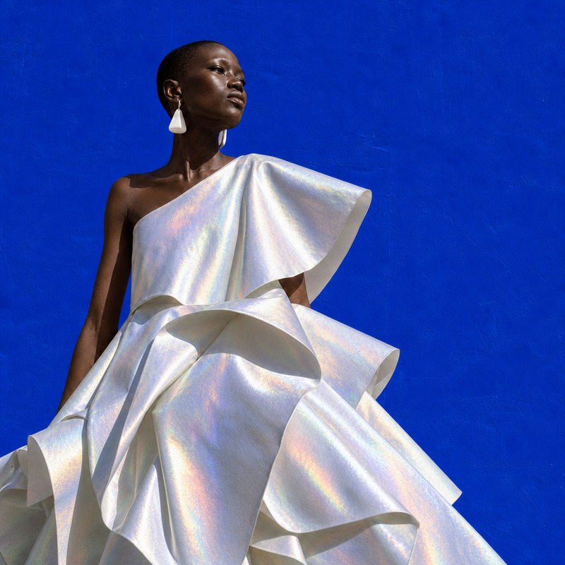 AI Image Editor · Change the dress material to i